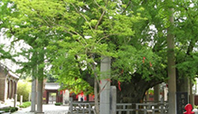 莒县浮来山风景区